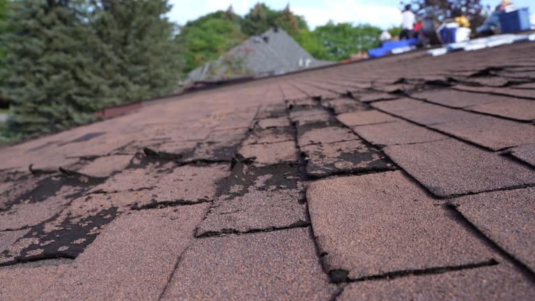 Best Storm Damage Roof Repair  in Fort Valley, GA